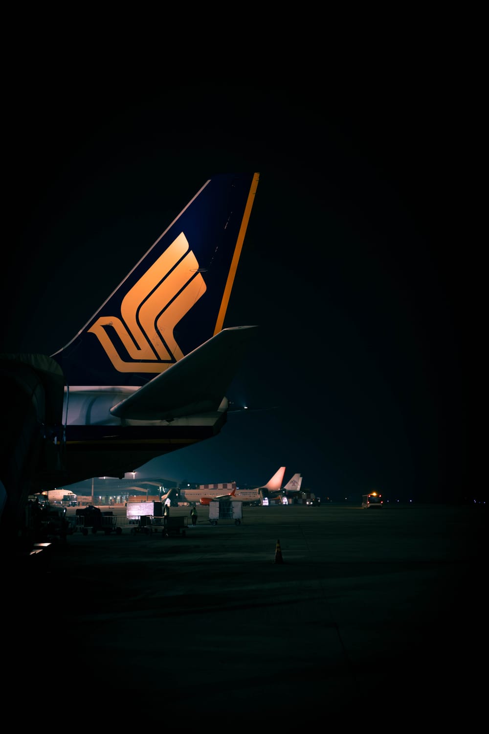Airline tail lit against a black apron at night, ground crew and cargo below